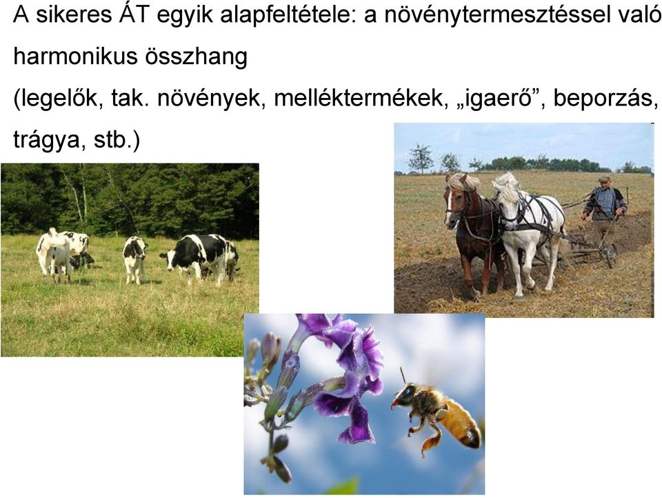 összhang (legelők, tak.