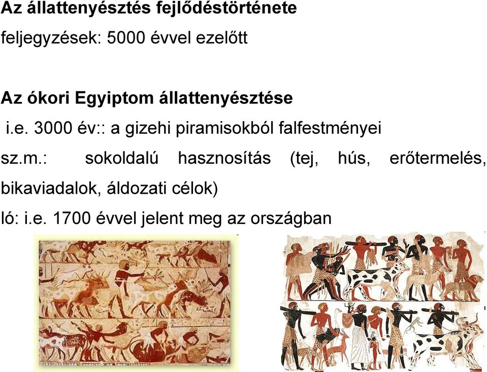 yésztése i.e. 3000 év:: a gizehi pirami