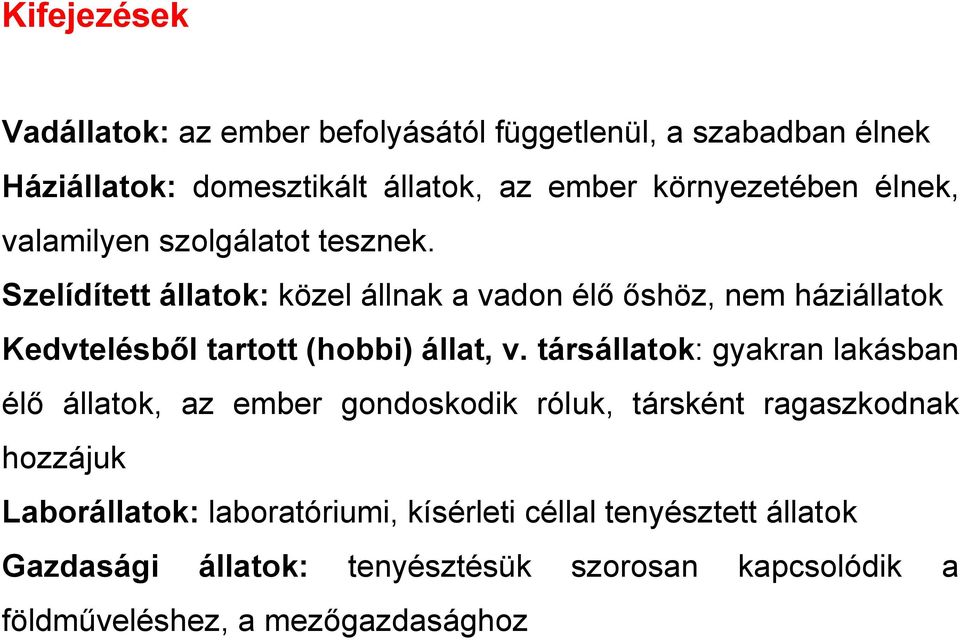 Szelídített állatok: közel állnak a vadon élő őshöz, nem háziállatok Kedvtelésből tartott (hobbi) állat, v.