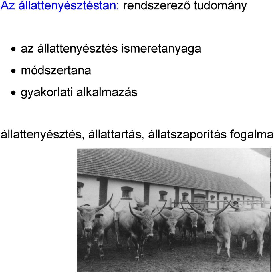 ismeretanyaga módszertana gyakorlati
