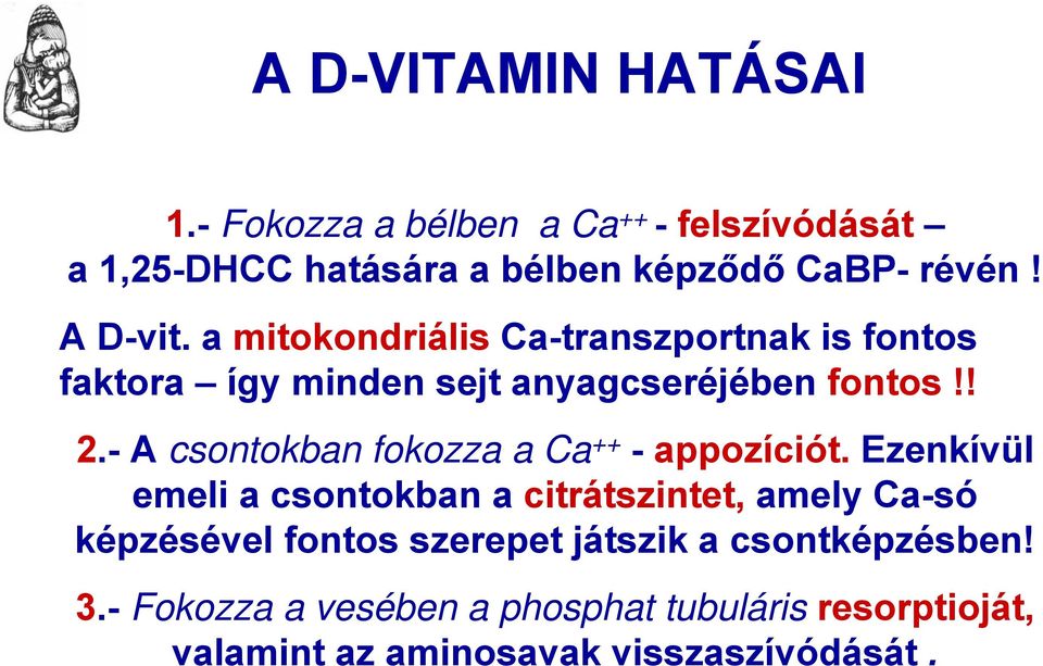 - A csontokban fokozza a Ca ++ - appozíciót.