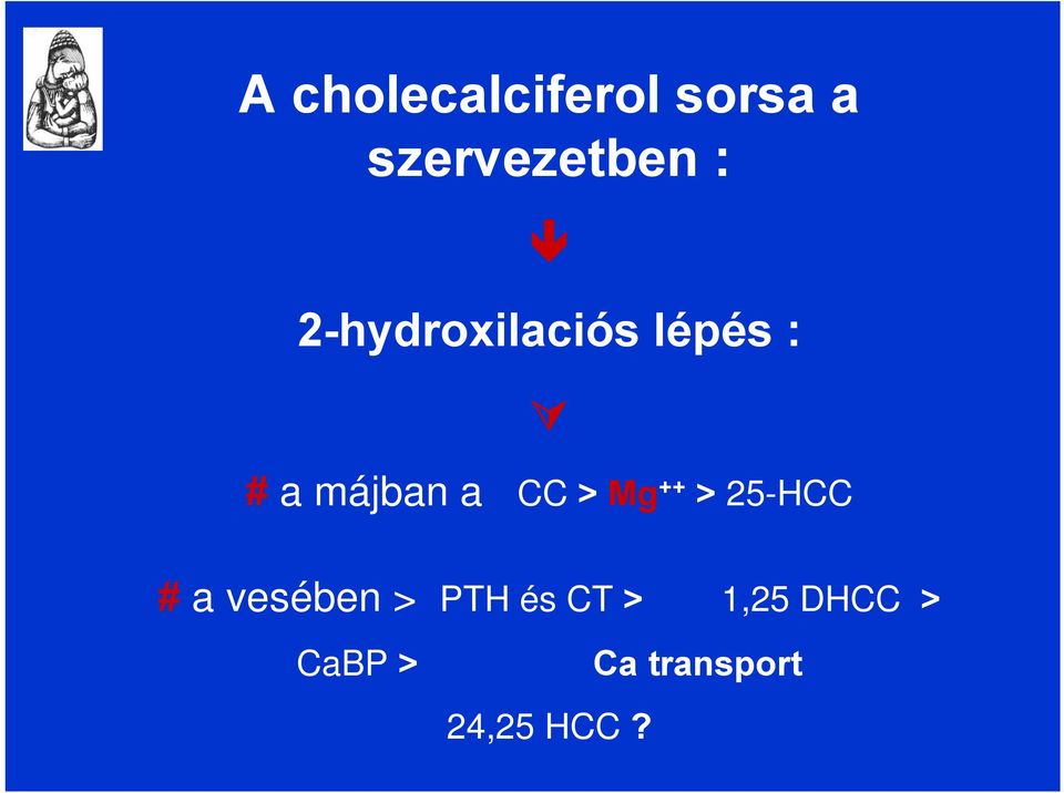 Mg ++ > 25-HCC # a vesében > PTH és CT >