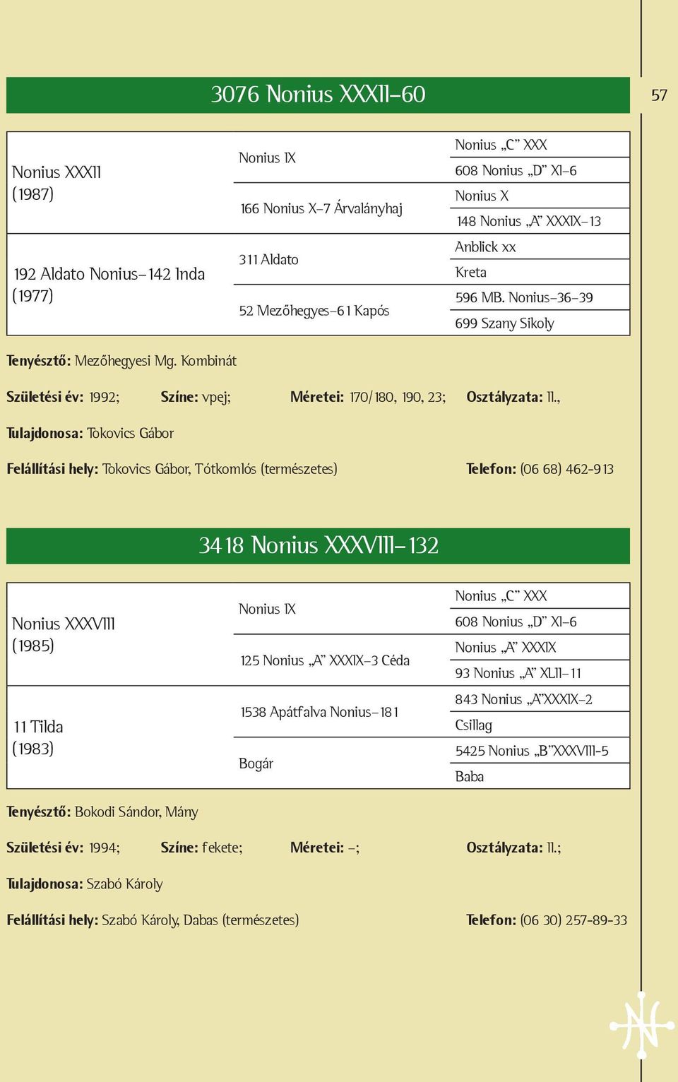 Nonius 36 39 699 Szany Sikoly Születési év: 1992; Színe: vpej; Méretei: 170/180, 190, 23; Osztályzata: II.