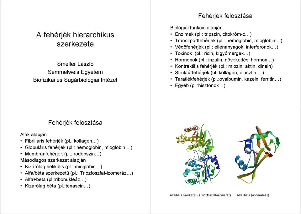 : inzulin, növekedési hormon ) Kontraktilis fehérjék (pl.: miozin, aktin, dinein) Struktúrfehérjék (pl.:kollagén, elasztin ) Taratlékfehérjék (pl.:ovalbumin, kazein, ferritin ) Egyéb (pl.