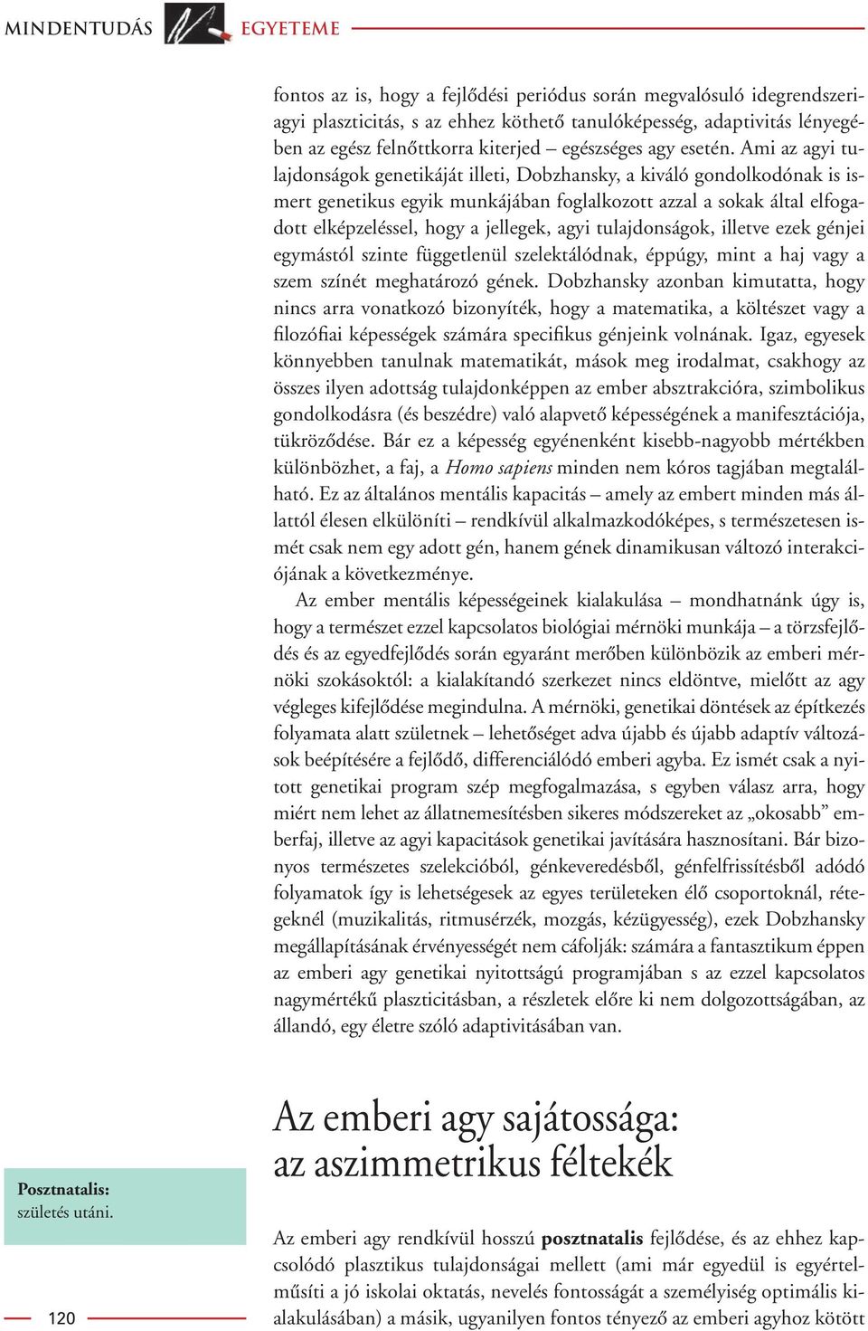 Ami az agyi tulajdonságok genetikáját illeti, Dobzhansky, a kiváló gondolkodónak is ismert genetikus egyik munkájában foglalkozott azzal a sokak által elfogadott elképzeléssel, hogy a jellegek, agyi