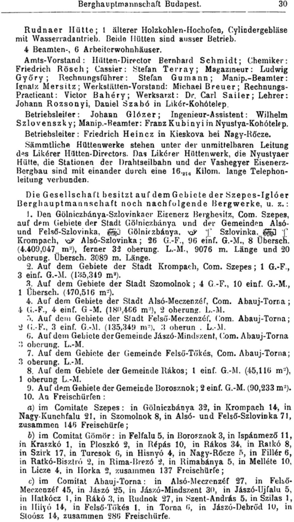 -Beamter: Ignatz Mersitz ; Werkstätten-Vorstand: Michael Breuer; Rechnungs- Practicant: Victor Bahéry; Werksarzt: Dr. Carl Sailer; Lehrer: Johann Rozsonyi, Daniel Szabó in Likér-Kohótelep.