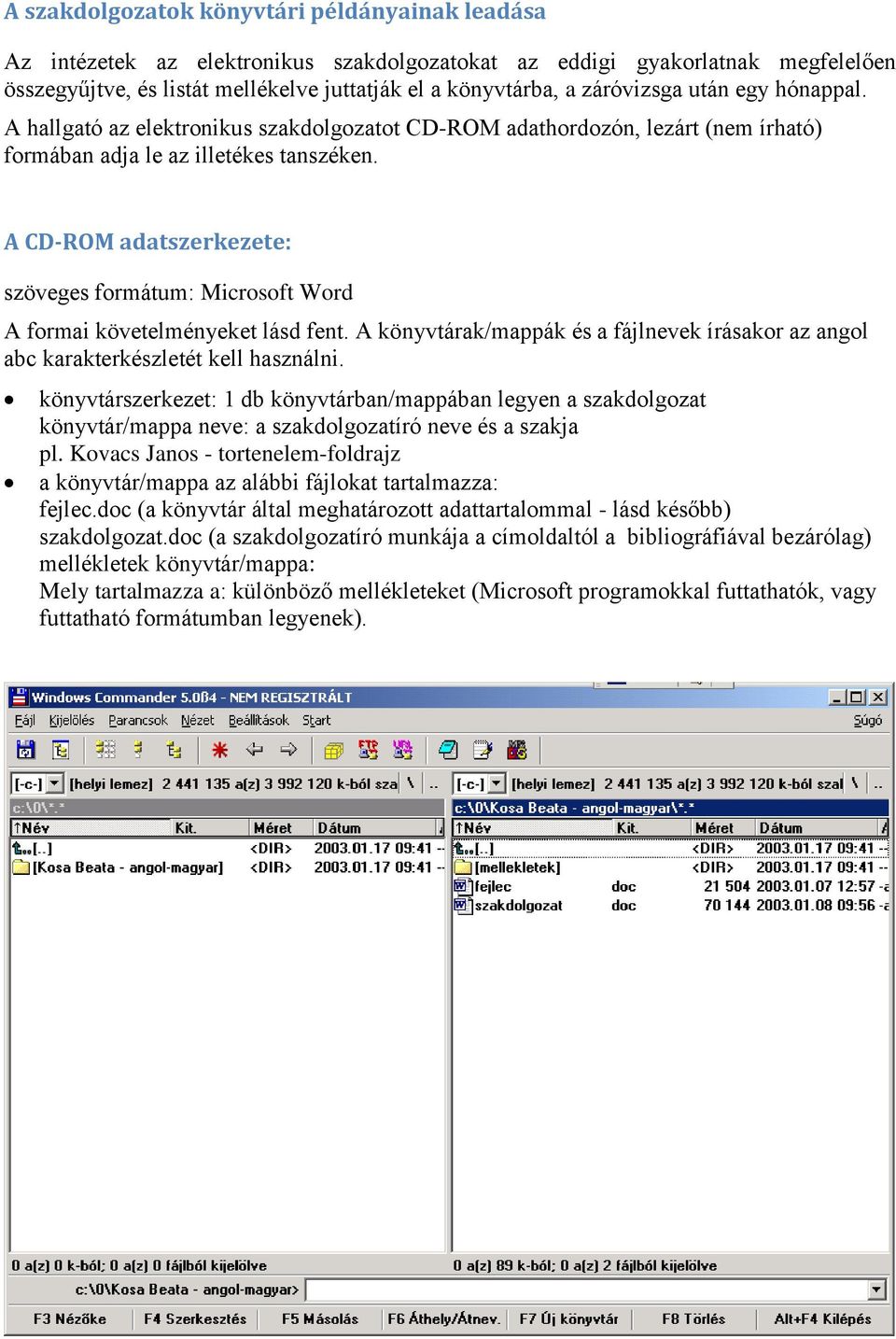 A CD-ROM adatszerkezete: szöveges formátum: Microsoft Word A formai követelményeket lásd fent. A könyvtárak/mappák és a fájlnevek írásakor az angol abc karakterkészletét kell használni.