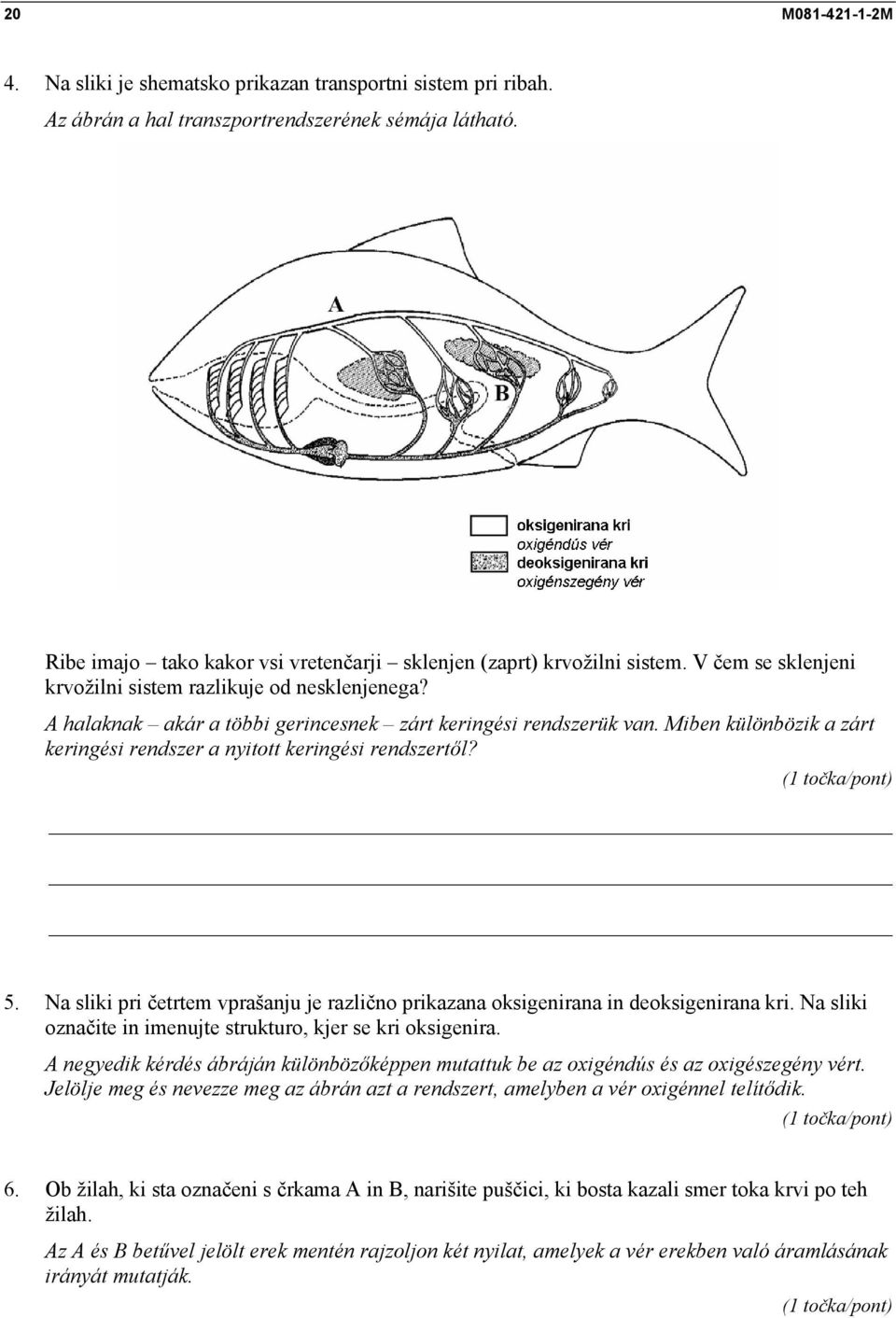 A halaknak akár a többi gerincesnek zárt keringési rendszerük van. Miben különbözik a zárt keringési rendszer a nyitott keringési rendszertől? 5.