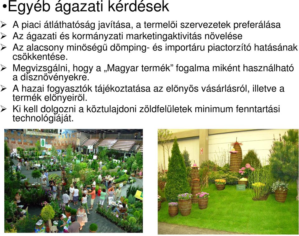 Megvizsgálni, hogy a Magyar termék fogalma miként használható a dísznövényekre.