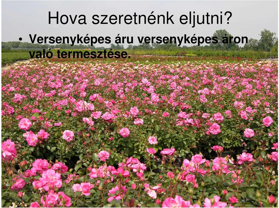 Versenyképes áru