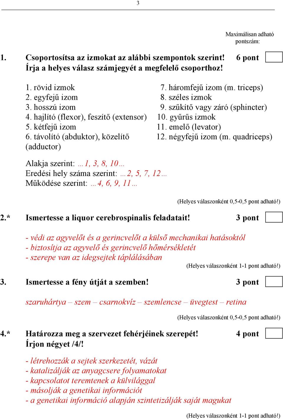 távolító (abduktor), közelítı 12. négyfejő izom (m. quadriceps) (adductor) Alakja szerint: 1, 3, 8, 10 Eredési hely száma szerint: 2, 5, 7, 12 Mőködése szerint: 4, 6, 9, 11 2.