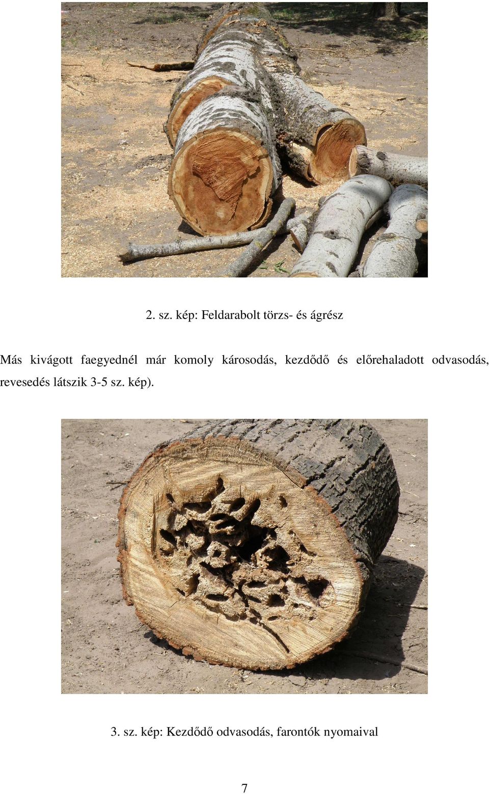 faegyednél már komoly károsodás, kezdıdı és