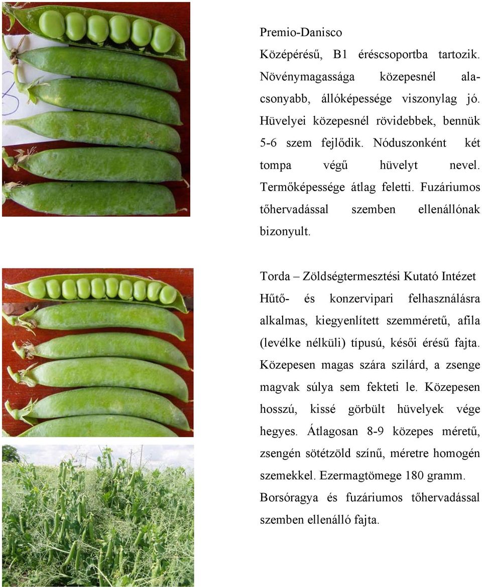 Torda Zöldségtermesztési Kutató Intézet Hűtő- és konzervipari felhasználásra alkalmas, kiegyenlített szemméretű, afila (levélke nélküli) típusú, késői érésű fajta.