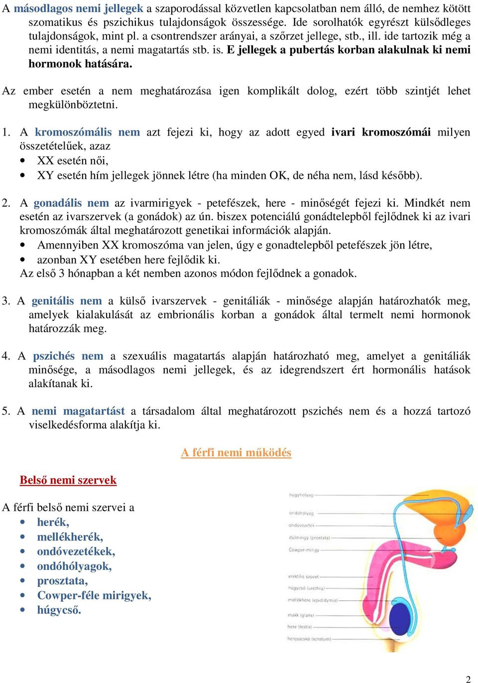 E jellegek a pubertás korban alakulnak ki nemi hormonok hatására. Az ember esetén a nem meghatározása igen komplikált dolog, ezért több szintjét lehet megkülönböztetni. 1.