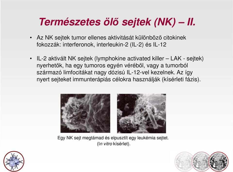 aktivált NK sejtek (lymphokine activated killer LAK - sejtek) nyerhetők, ha egy tumoros egyén véréből, vagy a