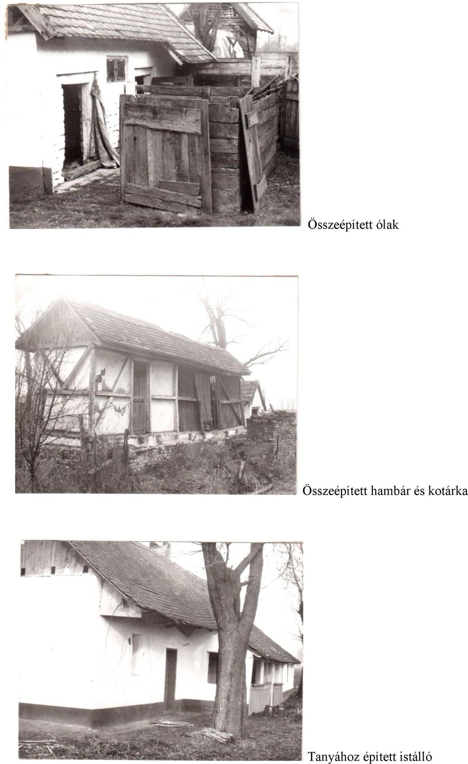 hambár és kotárka
