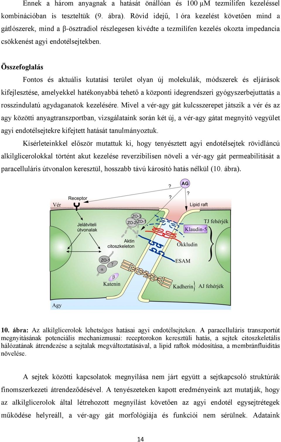 Összefoglalás Fontos és aktuális kutatási terület olyan új molekulák, módszerek és eljárások kifejlesztése, amelyekkel hatékonyabbá tehető a központi idegrendszeri gyógyszerbejuttatás a rosszindulatú
