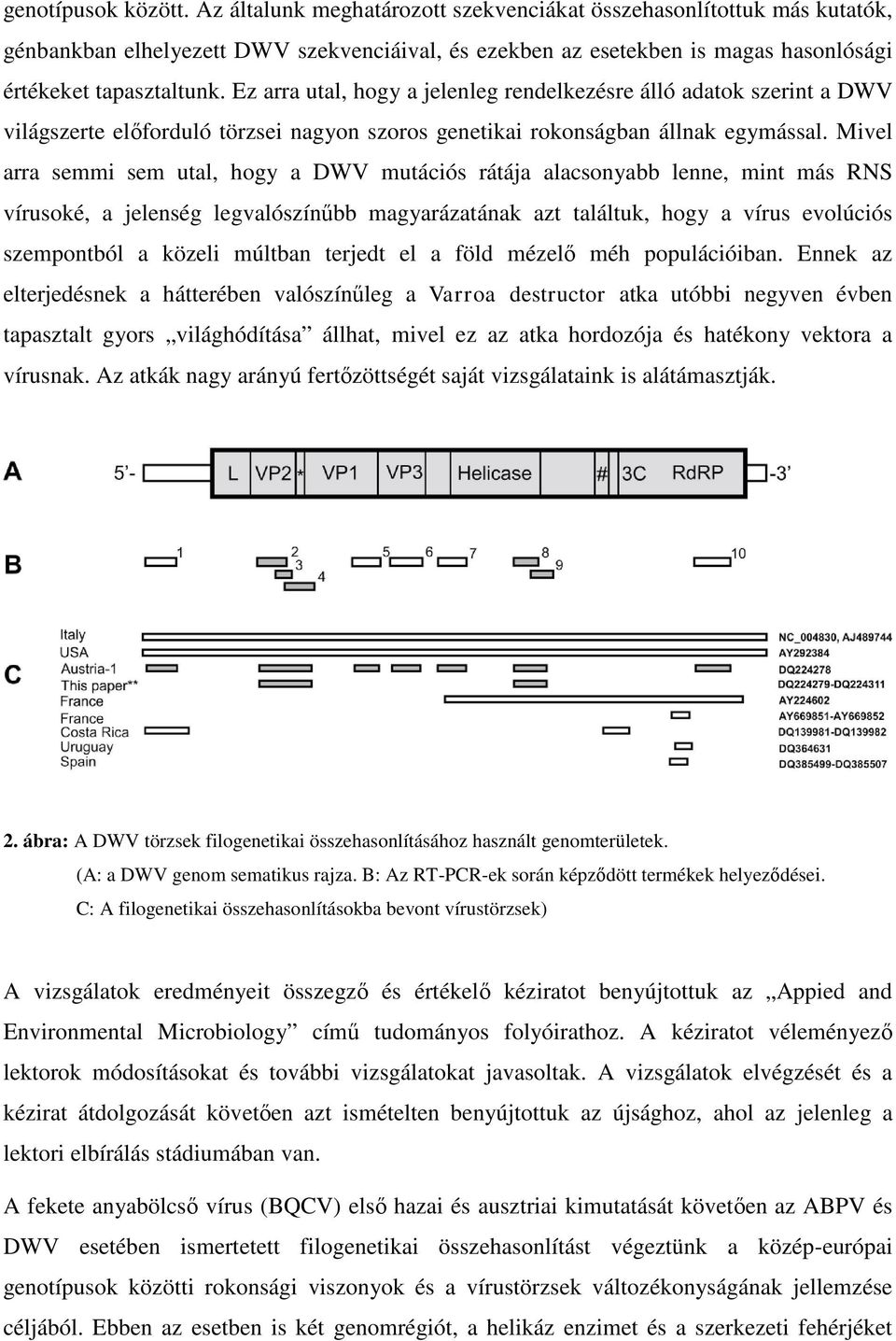 Ez arra utal, hogy a jelenleg rendelkezésre álló adatok szerint a DWV világszerte előforduló törzsei nagyon szoros genetikai rokonságban állnak egymással.