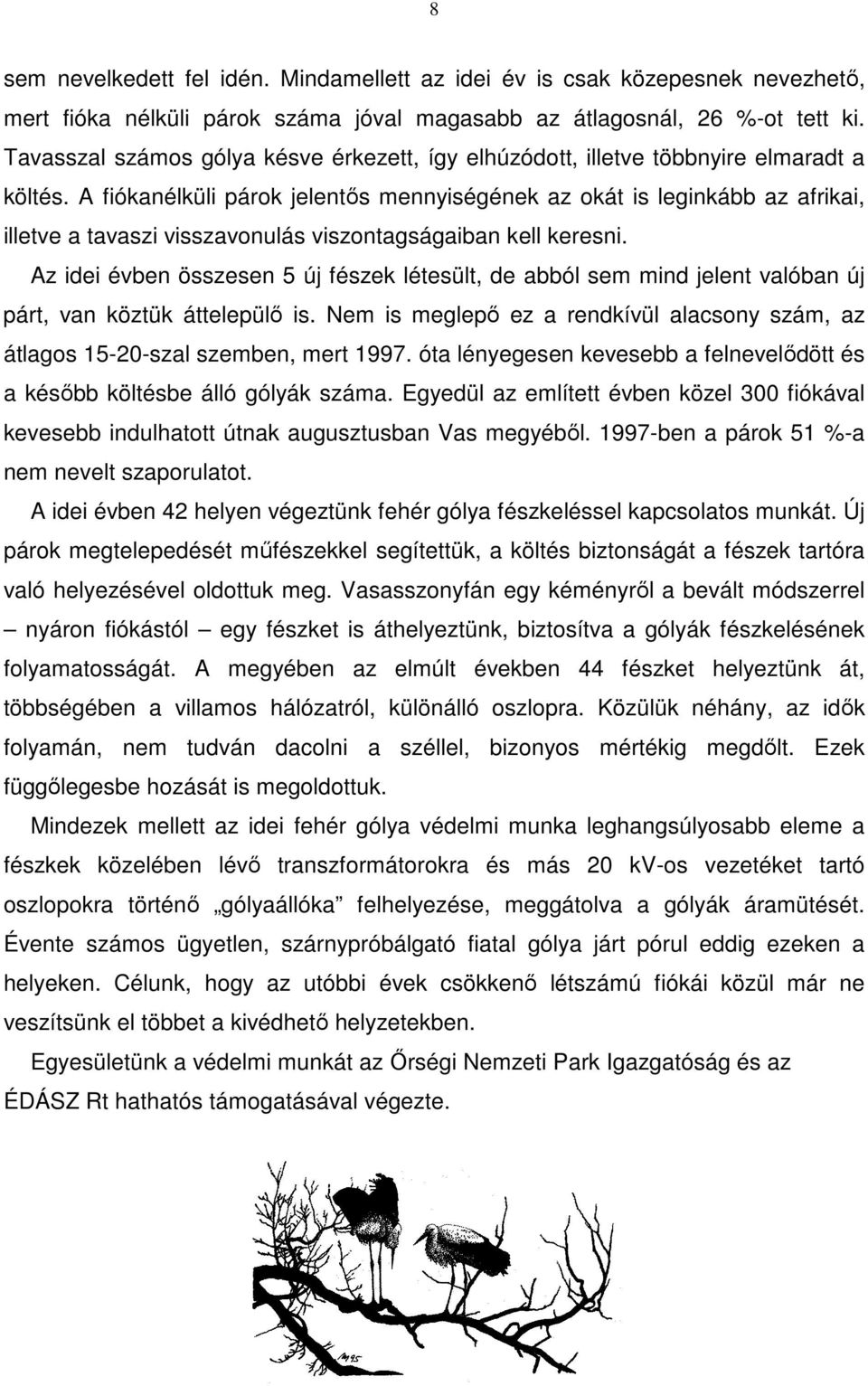 A fiókanélküli párok jelentős mennyiségének az okát is leginkább az afrikai, illetve a tavaszi visszavonulás viszontagságaiban kell keresni.