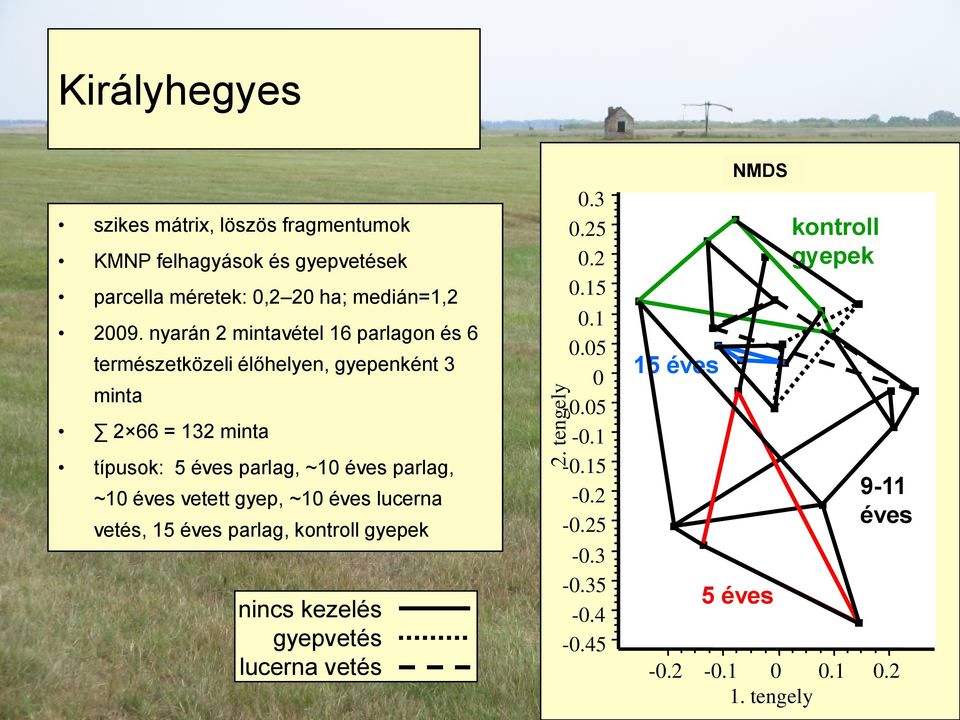 nyarán 2 mintavétel 16 parlagon és 6 természetközeli élőhelyen, gyepenként 3 minta 2 66 = 132 minta típusok: 5 éves parlag, ~1