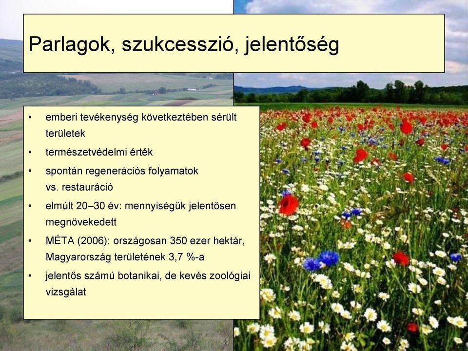 restauráció elmúlt 2 3 év: mennyiségük jelentősen megnövekedett MÉTA (26):