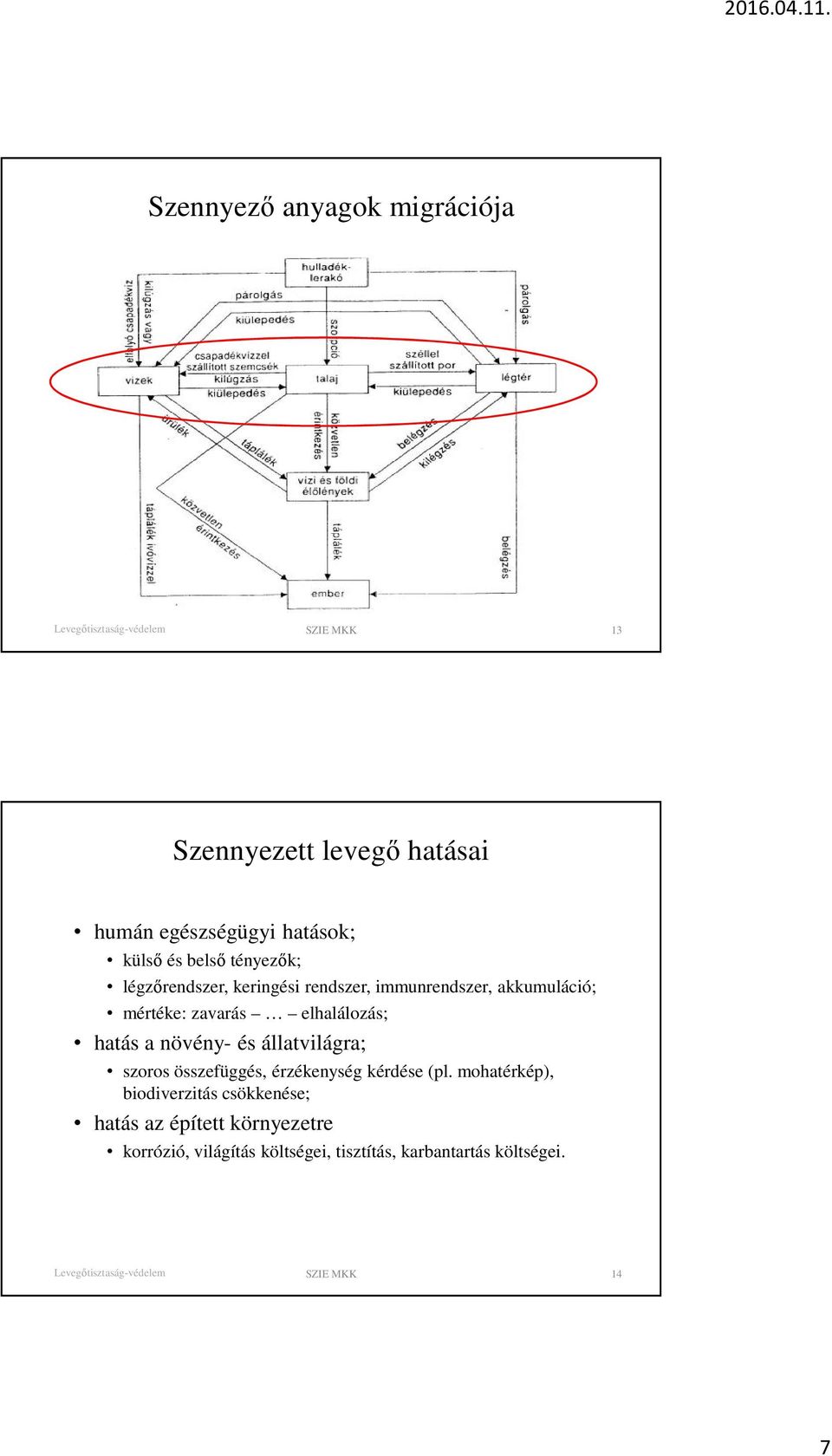 hatás a növény- és állatvilágra; szoros összefüggés, érzékenység kérdése (pl.