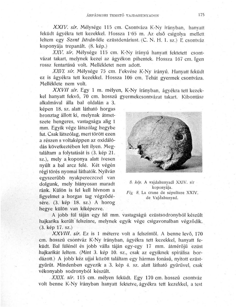 K-Ny irányú hanyatt fektetett csontvázat takart, melynek kezei az ágyékon pihentek. Hossza 167 cm. Igen rossz fentartású volt. Mellékletet nem adott. XXVI. sír. Mélysége 75 cm. Fekvése K-Ny irányú.