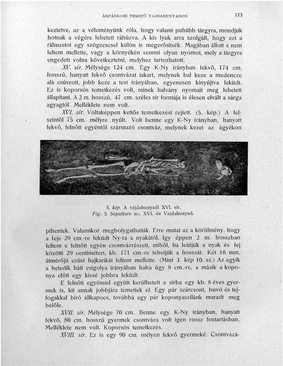 Magában állott s nem leltem mellette, vagy a környékén semmi olyan nyomot, mely a tárgyra engedett volna következtetni, melyhez tartozhatott. XV. sír. Mélysége 124 cm. Egy K-Ny irányban fekvő, 174 cm.