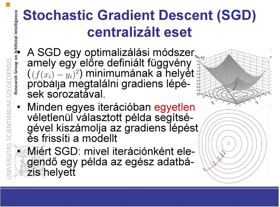 Minden egyes iterációban egyetlen véletlenül választott példa segítségével kiszámolja az gradiens