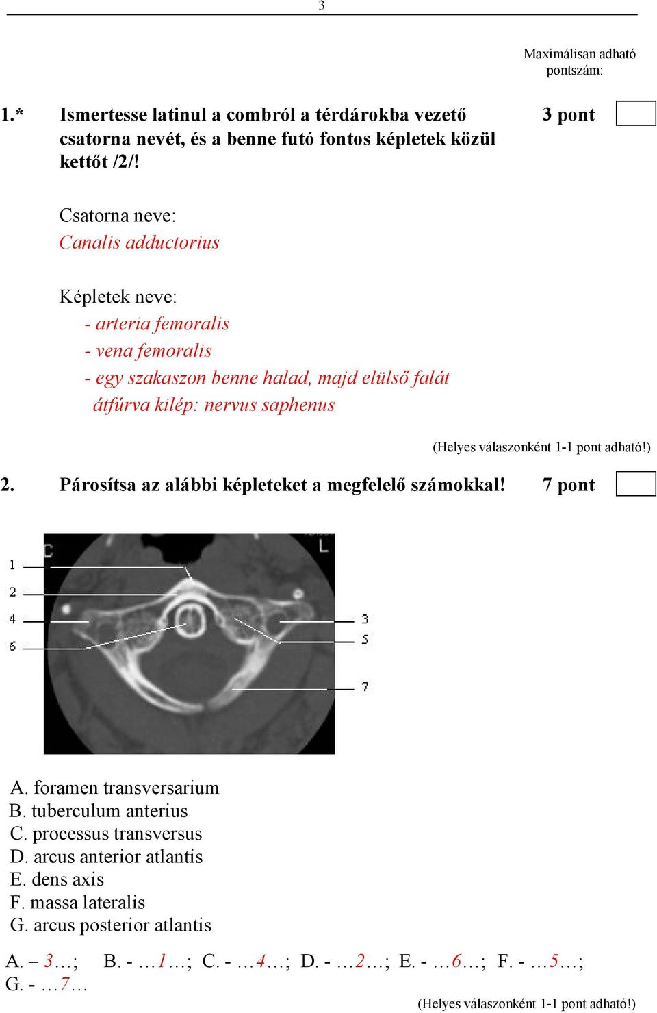 Csatorna neve: Canalis adductorius Képletek neve: - arteria femoralis - vena femoralis - egy szakaszon benne halad, majd elülsı falát átfúrva kilép: