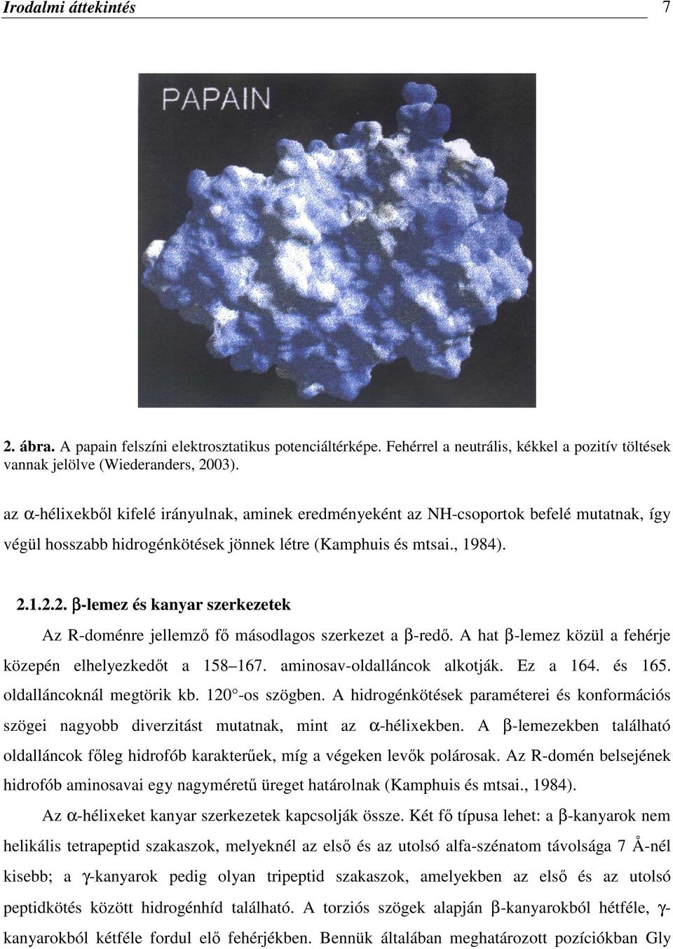 1.2.2. β-lemez és kanyar szerkezetek Az R-doménre jellemző fő másodlagos szerkezet a β-redő. A hat β-lemez közül a fehérje közepén elhelyezkedőt a 158 167. aminosav-oldalláncok alkotják. Ez a 164.