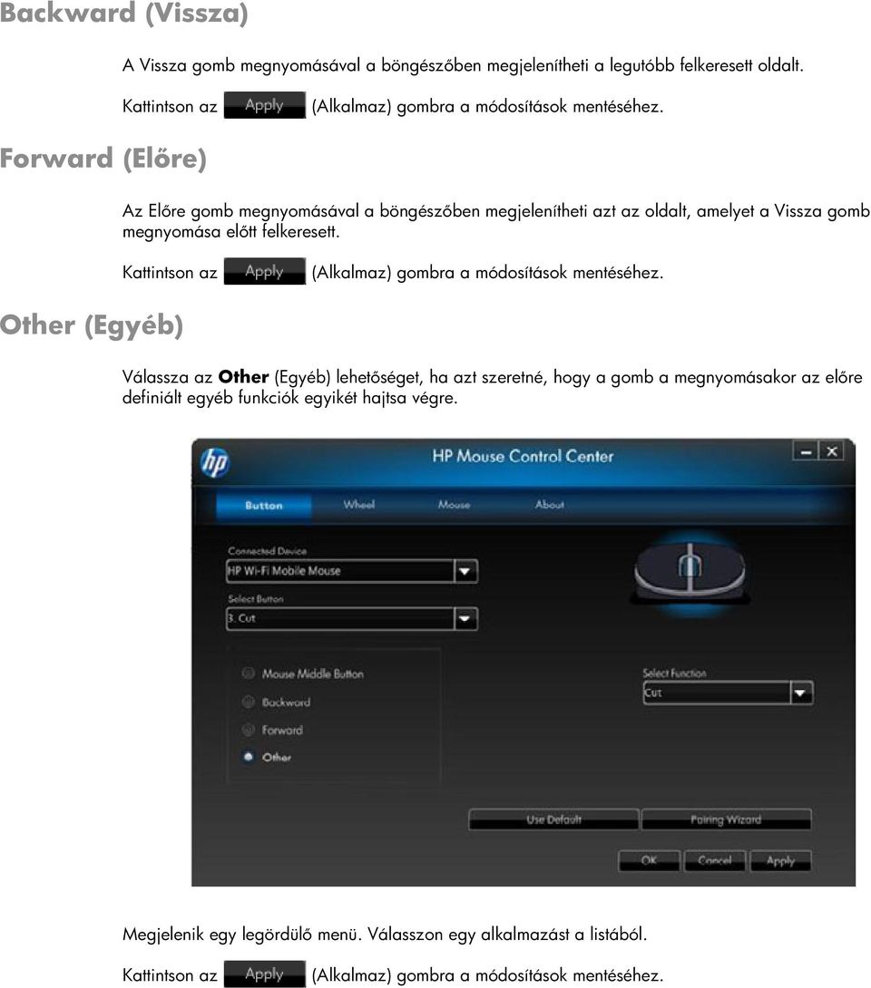 Forward (Előre) Az Előre gomb megnyomásával a böngészőben megjelenítheti azt az oldalt, amelyet a Vissza gomb megnyomása előtt felkeresett.