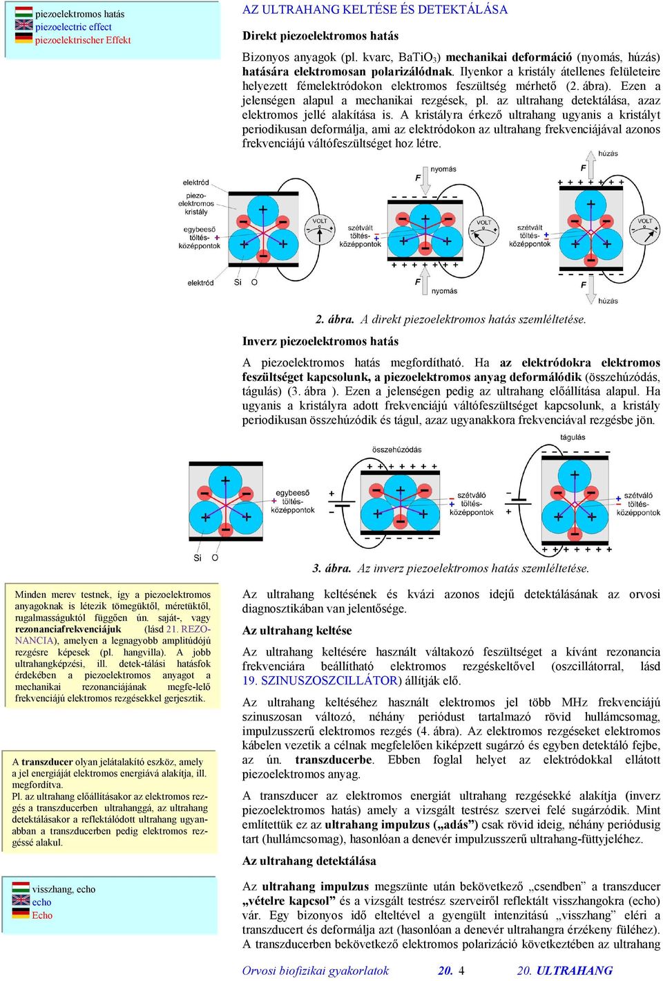 Orvosi biofizikai gyakorlatok - PDF Ingyenes letöltés
