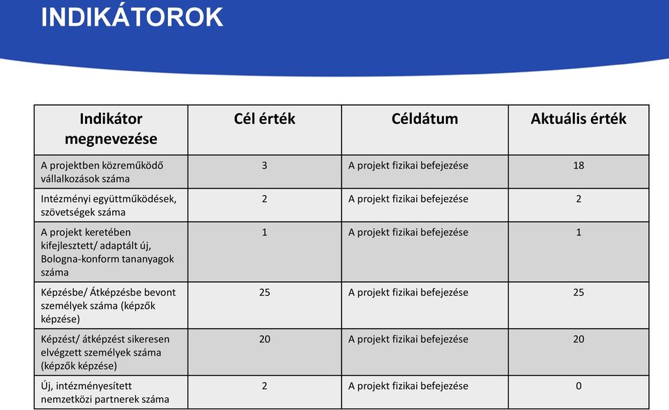 elvégzett személyek száma (képzők képzése) Új, intézményesített nemzetközi partnerek száma Cél érték Céldátum Aktuális érték 3 A projekt fizikai befejezése