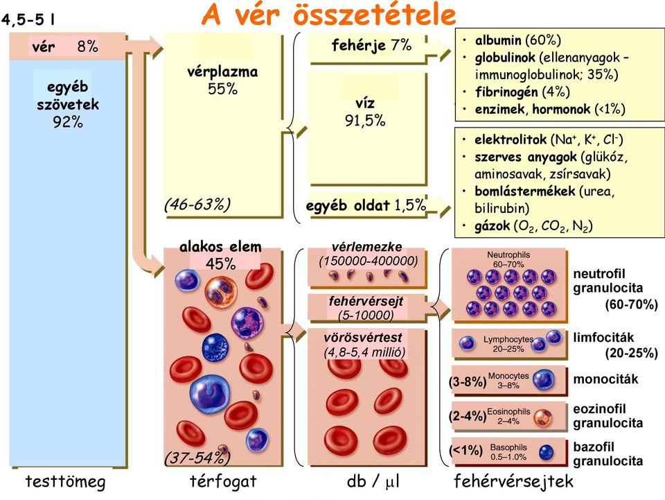 elektrolitok (Na +, K +, Cl - ) szerves anyagok (glükóz, aminosavak, zsírsavak) bomlástermékek (urea, bilirubin) gázok (O 2, CO 2, N 2 ) neutrofil