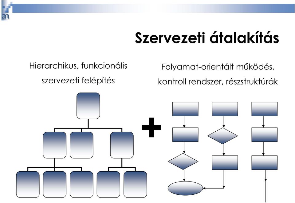 szervezeti felépítés