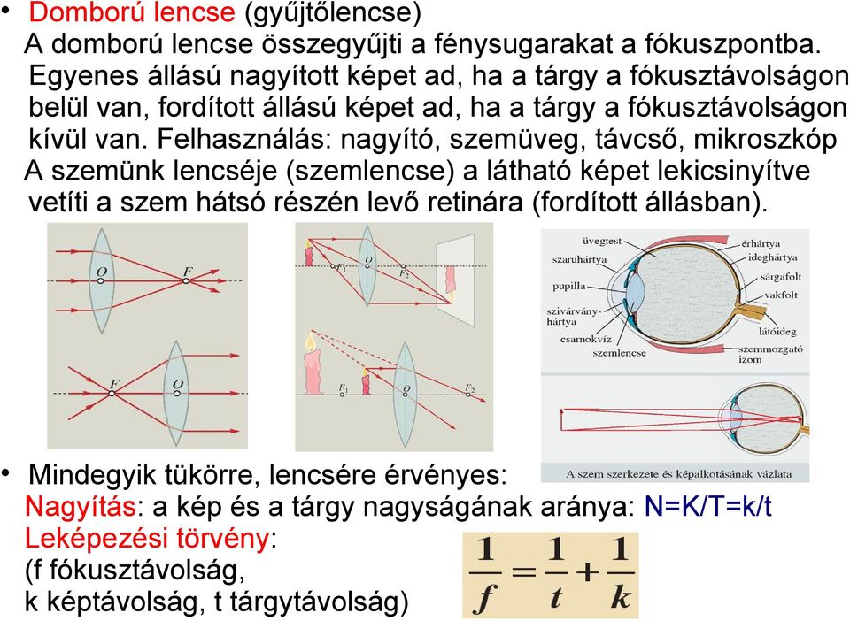 Felhasználás: nagyító, szemüveg, távcső, mikroszkóp A szemünk lencséje (szemlencse) a látható képet lekicsinyítve vetíti a szem hátsó részén