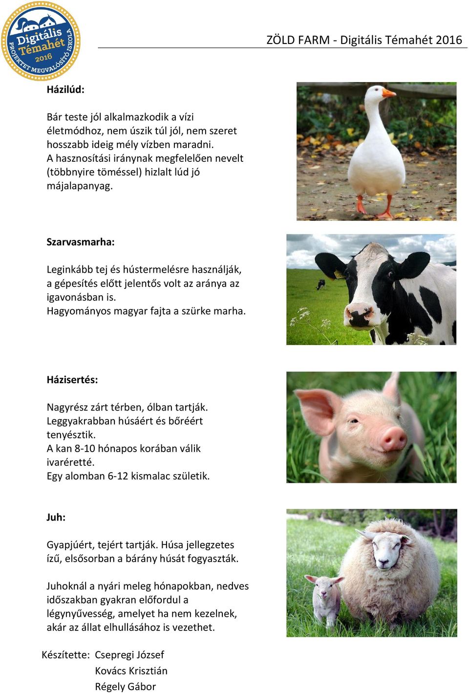 Szarvasmarha: Leginkább tej és hústermelésre használják, a gépesítés előtt jelentős volt az aránya az igavonásban is. Hagyományos magyar fajta a szürke marha.
