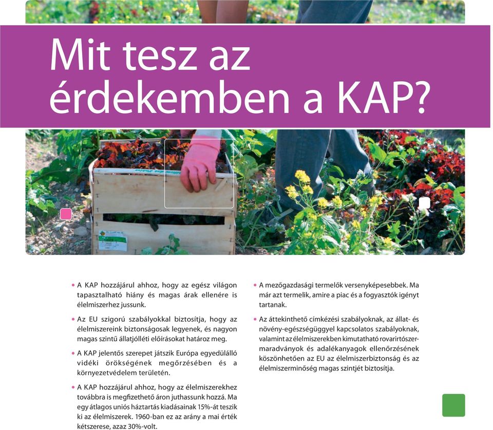 A KAP jelentős szerepet játszik Európa egyedülálló vidéki örökségének megőrzésében és a környezetvédelem területén.