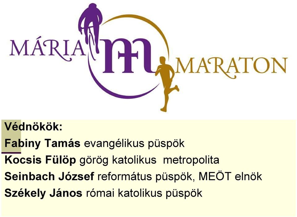 Seinbach József református püspök, MEÖT
