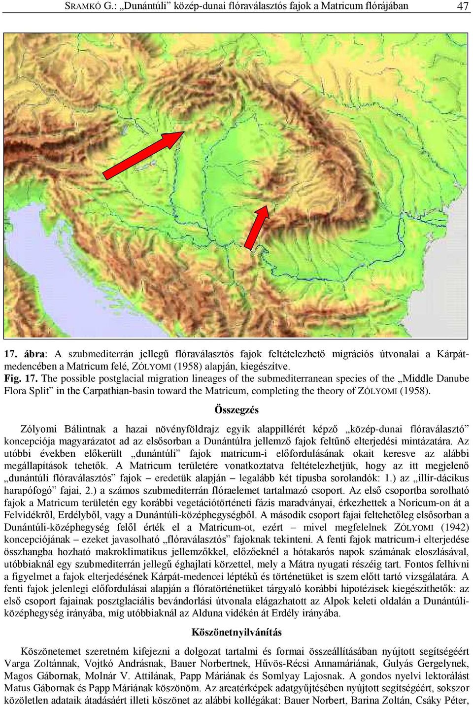 The possible postglacial migration lineages of the submediterranean species of the Middle Danube Flora Split in the Carpathian-basin toward the Matricum, completing the theory of ZÓLYOMI (1958).