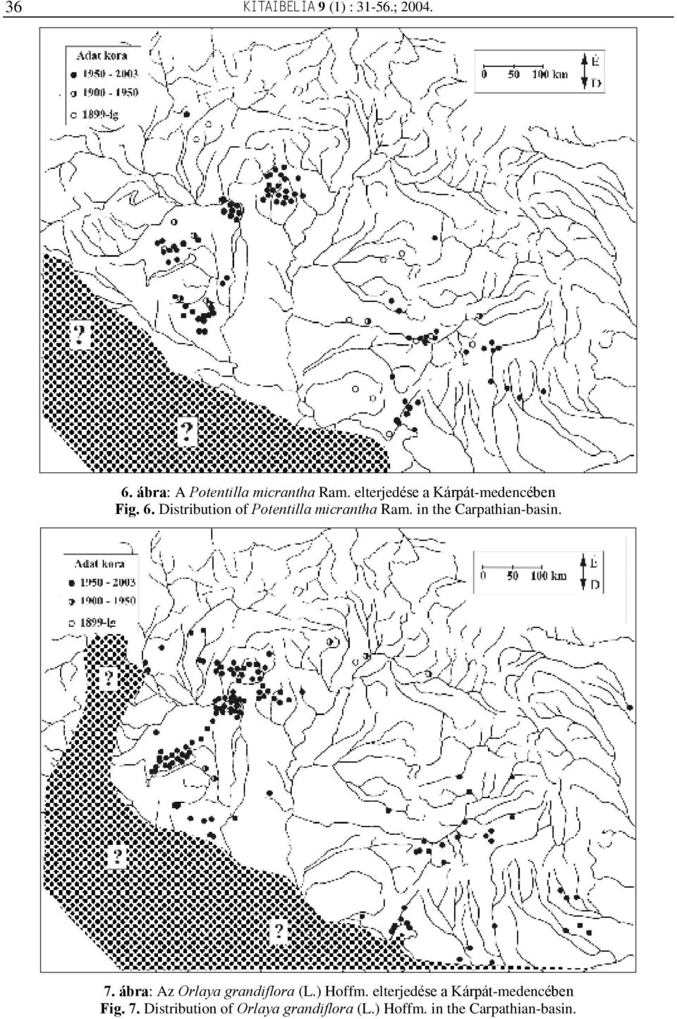 in the Carpathian-basin. 7. ábra: Az Orlaya grandiflora (L.) Hoffm.