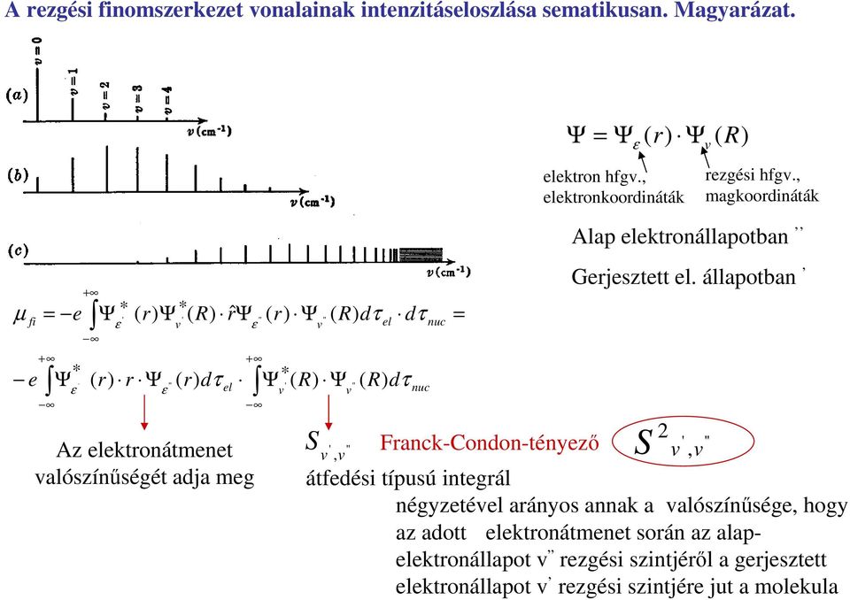 el dτ ( R) dτ nuc nuc = Ψ = Ψ ε elektron hfgv., elektronkoordináták ( r) Ψ ( R) Alap elektronállapotban Gerjesztett el. állapotban v rezgési hfgv.