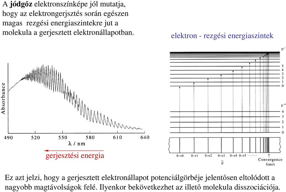 elektron - rezgési energiaszintek gerjesztési energia Ez azt jelzi, hogy a gerjesztett