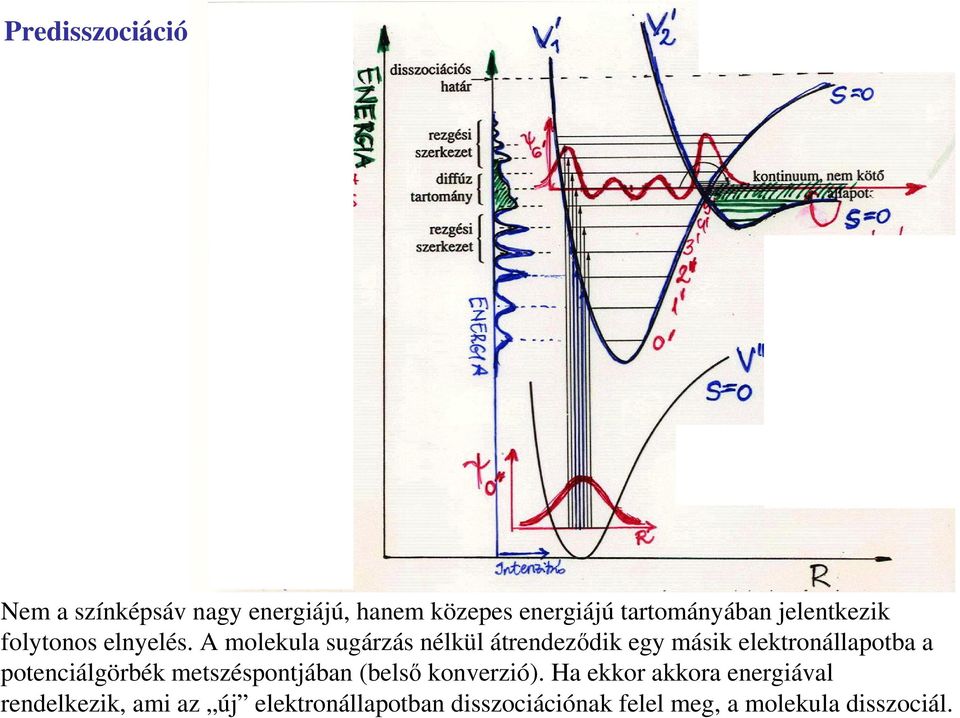 A molekula sugárzás nélkül átrendezıdik egy másik elektronállapotba a potenciálgörbék