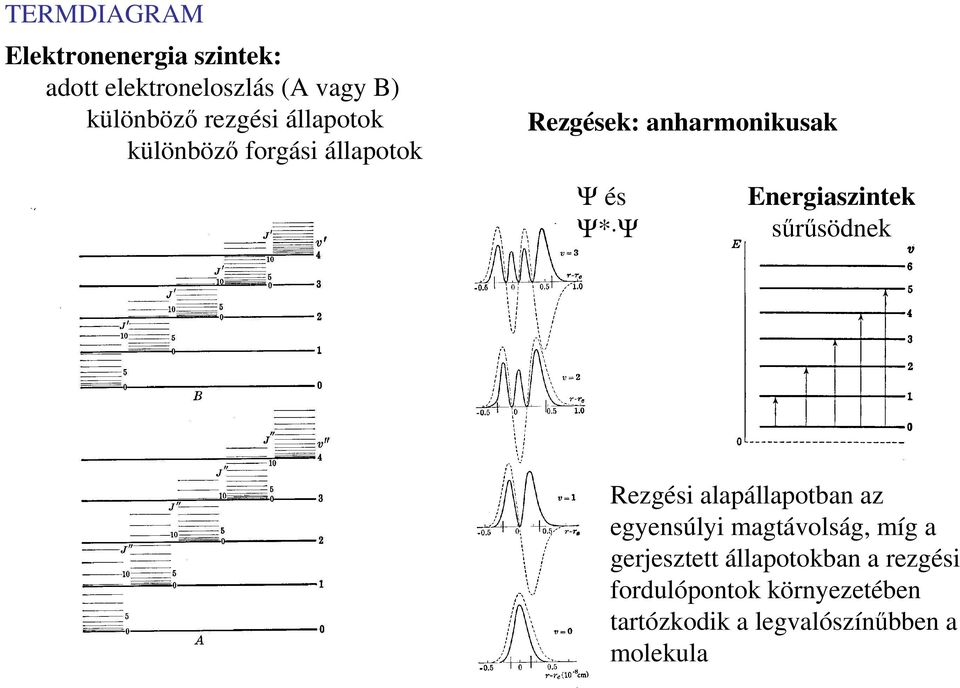 Energiaszintek sőrősödnek Rezgési alapállapotban az egyensúlyi magtávolság, míg a