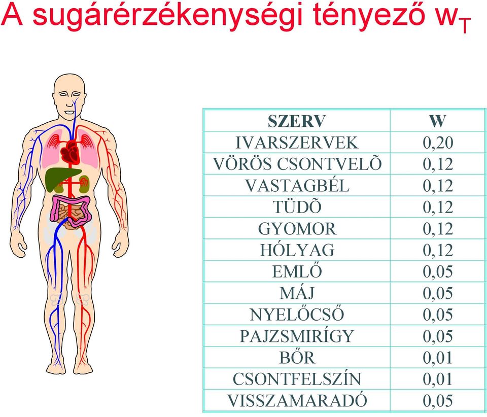 GYOMOR 0,12 HÓLYAG 0,12 EMLŐ 0,05 MÁJ 0,05 NYELŐCSŐ