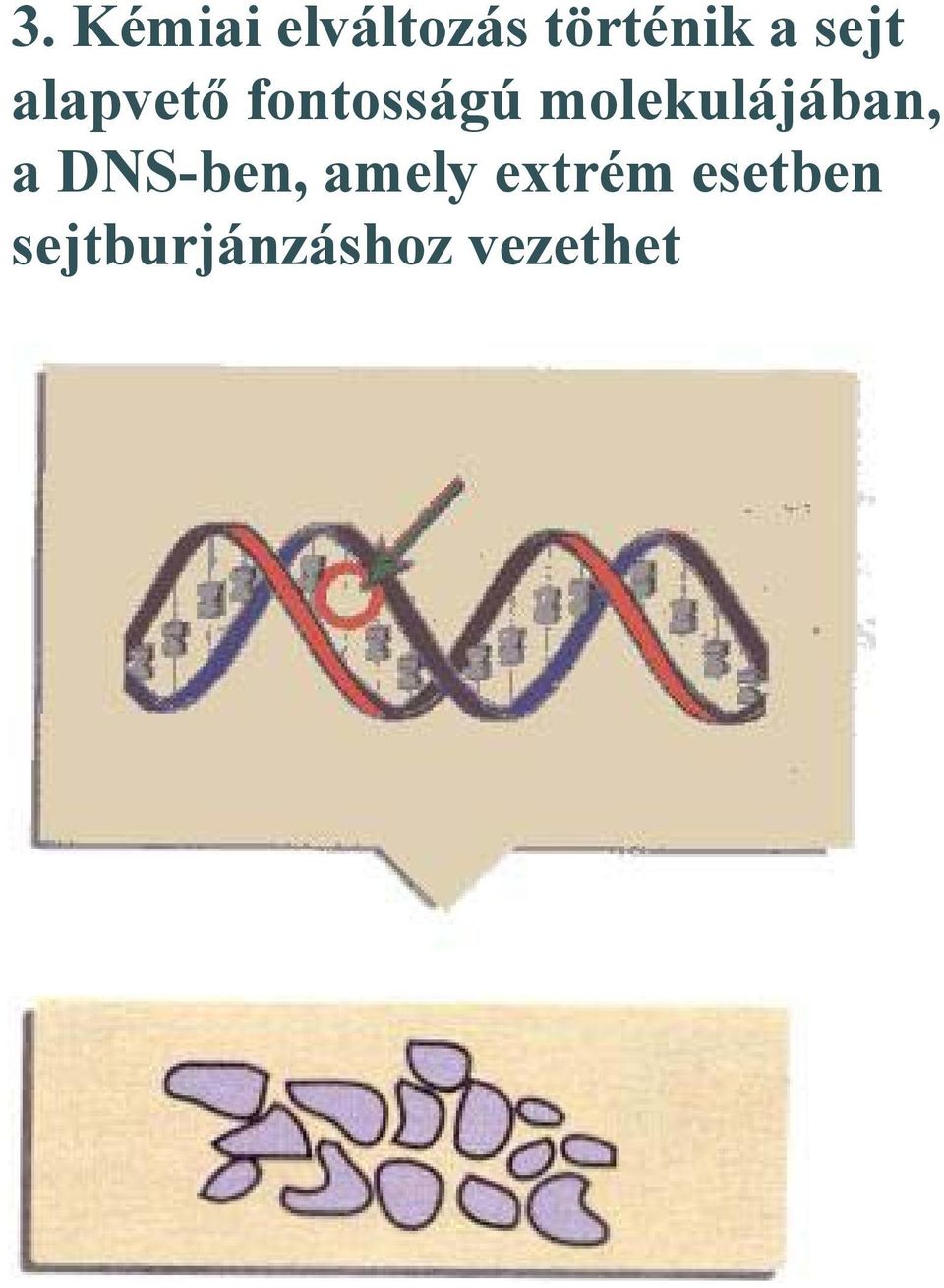 molekulájában, a DNS-ben, amely