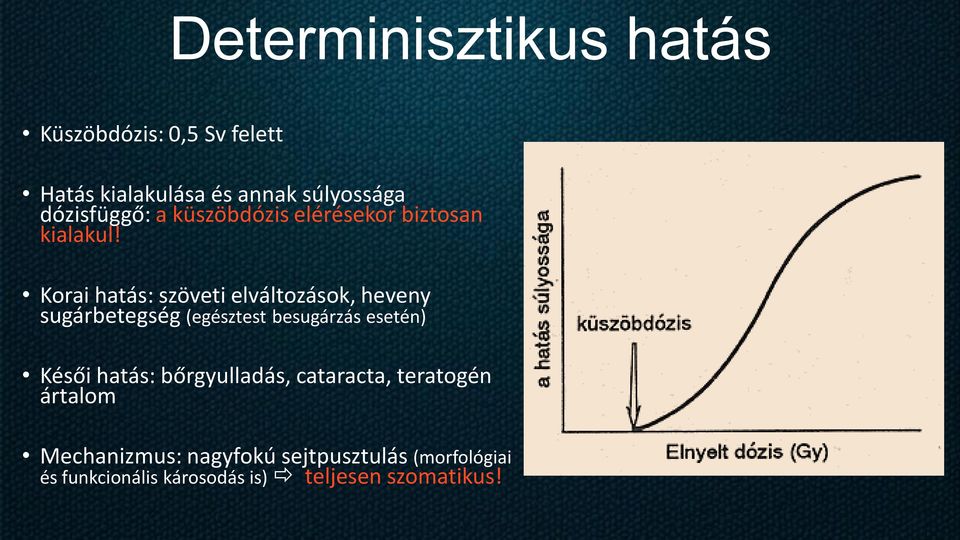 Korai hatás: szöveti elváltozások, heveny sugárbetegség (egésztest besugárzás esetén) Késői