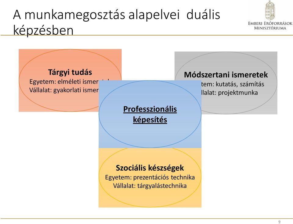 Egyetem: kutatás, számítás Vállalat: projektmunka Professzionális